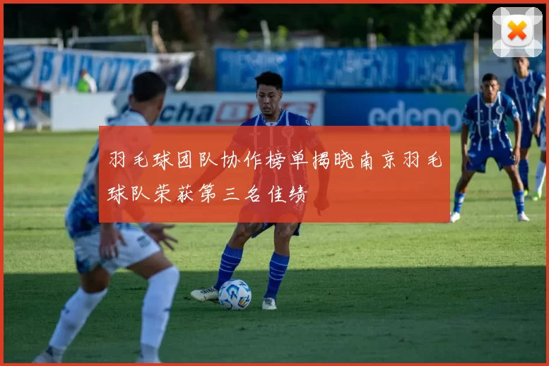 羽毛球团队协作榜单揭晓南京羽毛球队荣获第三名佳绩