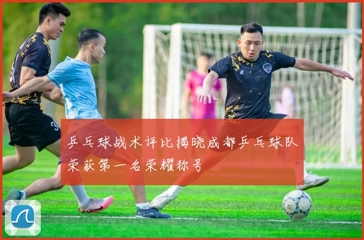 乒乓球战术评比揭晓成都乒乓球队荣获第一名荣耀称号
