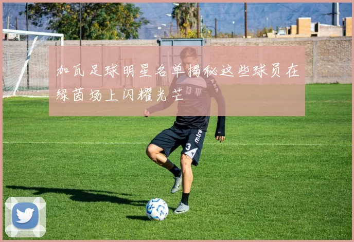 加瓦足球明星名单揭秘这些球员在绿茵场上闪耀光芒