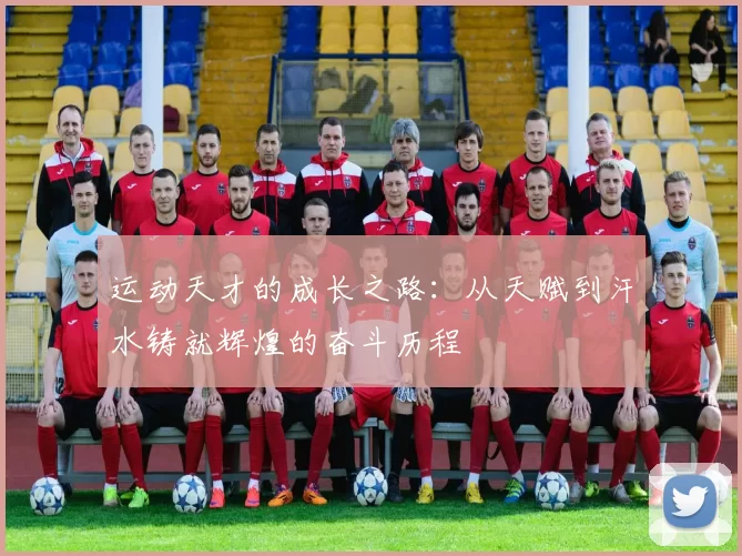 运动天才的成长之路：从天赋到汗水铸就辉煌的奋斗历程