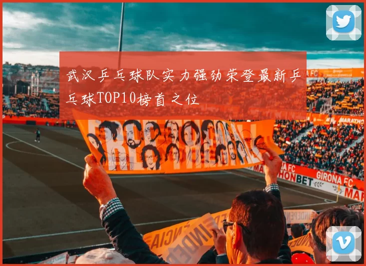 武汉乒乓球队实力强劲荣登最新乒乓球TOP10榜首之位