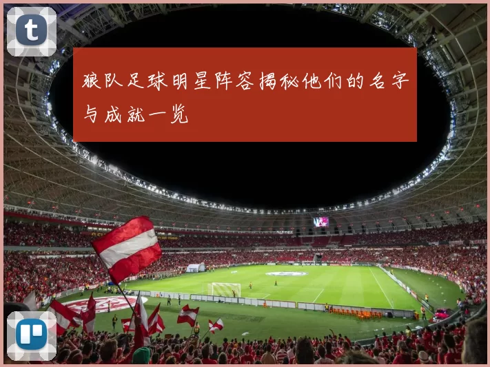 狼队足球明星阵容揭秘他们的名字与成就一览