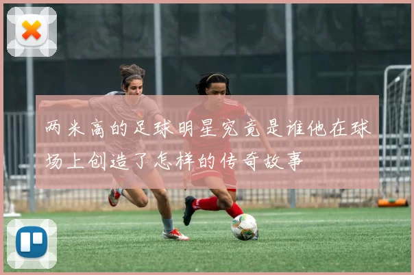 两米高的足球明星究竟是谁他在球场上创造了怎样的传奇故事