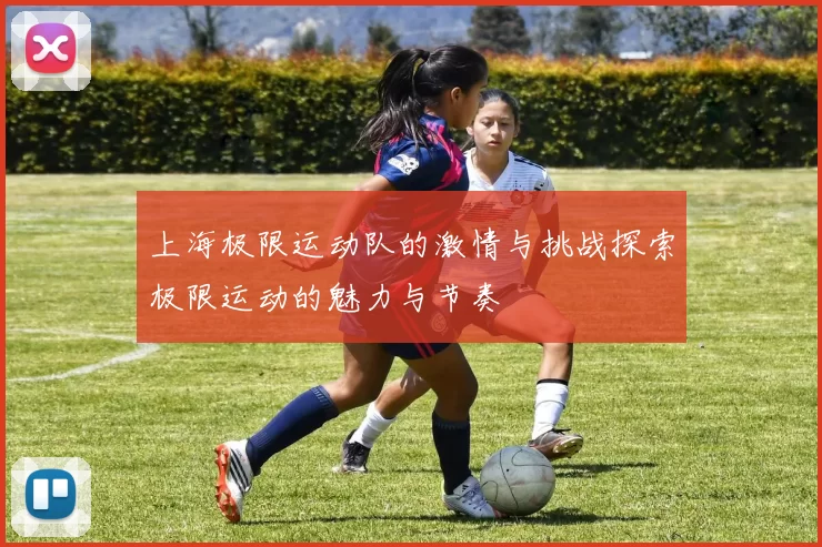 上海极限运动队的激情与挑战探索极限运动的魅力与节奏