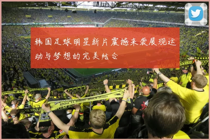 韩国足球明星新片震撼来袭展现运动与梦想的完美结合