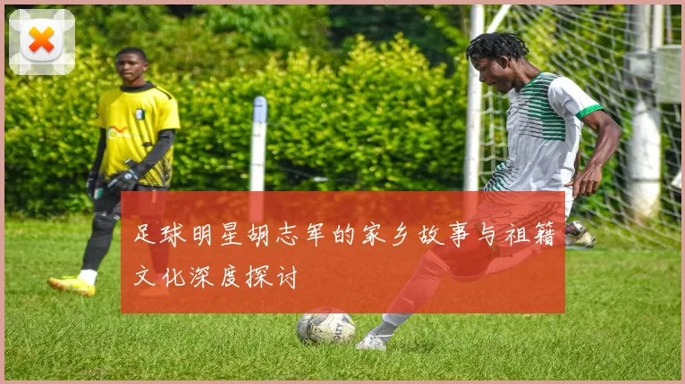 足球明星胡志军的家乡故事与祖籍文化深度探讨