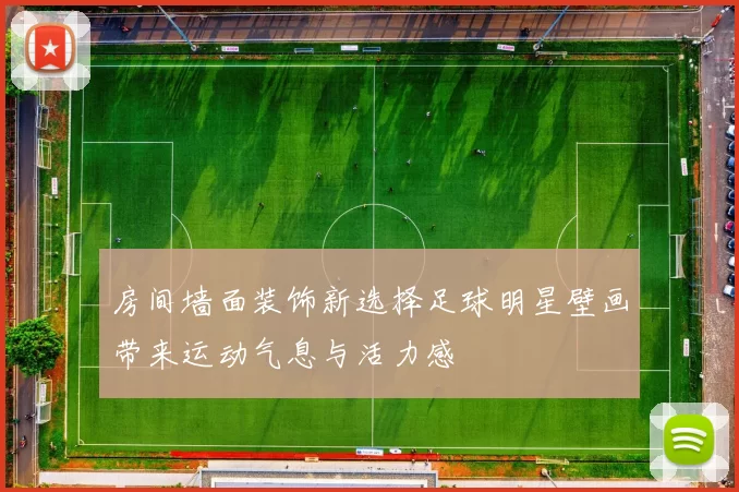 房间墙面装饰新选择足球明星壁画带来运动气息与活力感