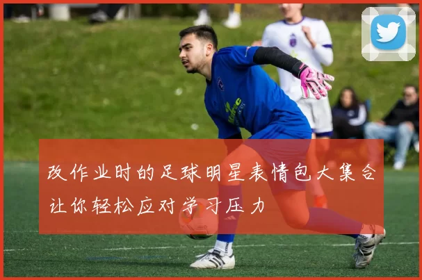改作业时的足球明星表情包大集合让你轻松应对学习压力