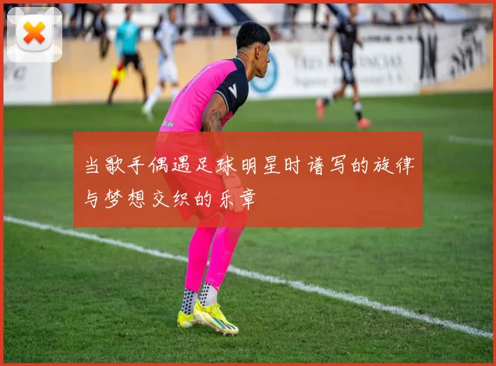 当歌手偶遇足球明星时谱写的旋律与梦想交织的乐章
