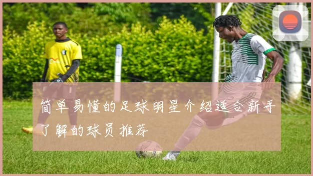 简单易懂的足球明星介绍适合新手了解的球员推荐