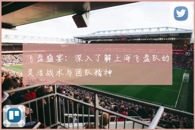 飞盘盛宴：深入了解上海飞盘队的灵活战术与团队精神