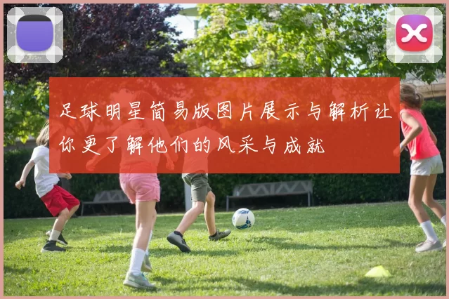 足球明星简易版图片展示与解析让你更了解他们的风采与成就