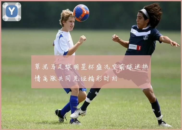 草泥马足球明星杯盛况空前球迷热情高涨共同见证精彩时刻