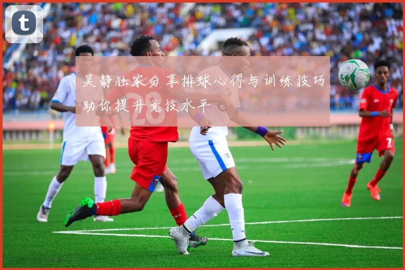 吴静独家分享排球心得与训练技巧助你提升竞技水平